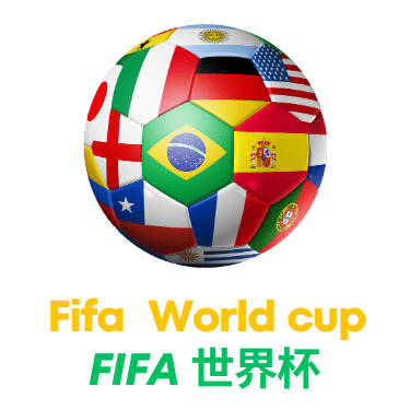 2026世界杯法国对战塞内加尔停车费揭秘